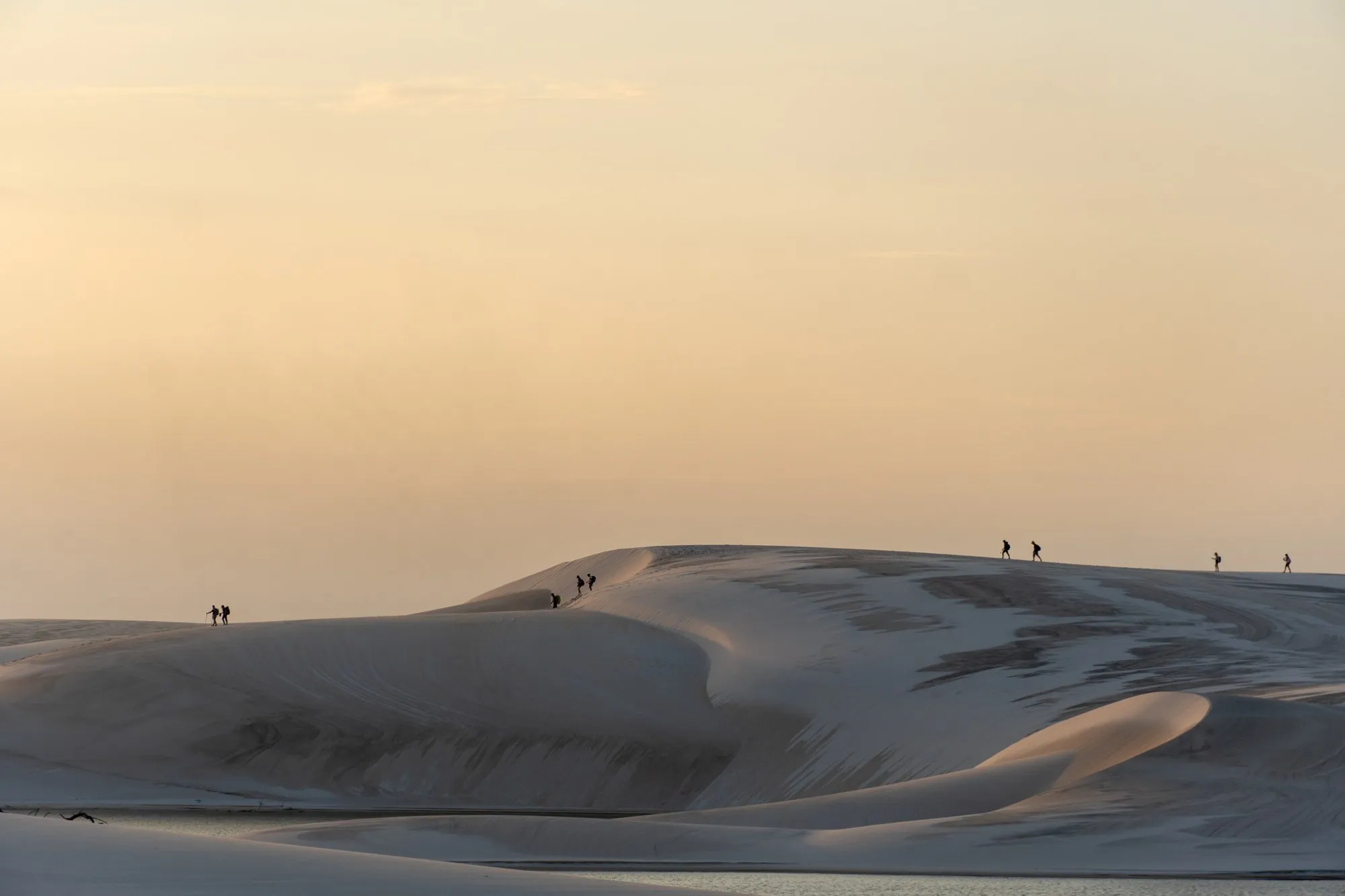 Des silhouettes minuscules marchent sur la crête d'une dune dans une lumière dorée.