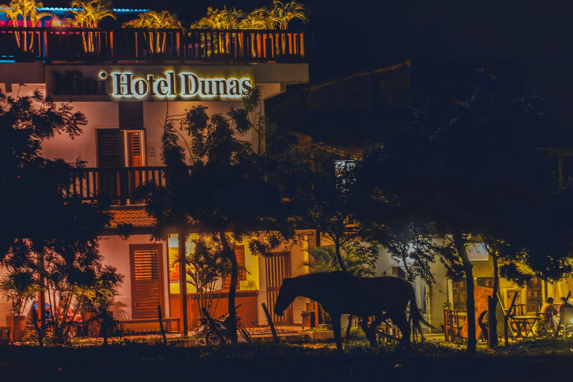 La façade éclairée de l'Hotel Dunas la nuit, un cheval passe devant.